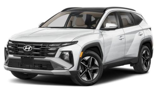 cc 2025hys211969854 01 640 tw3